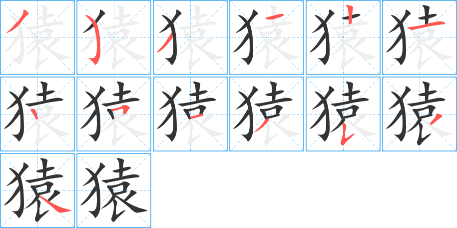 猿字的筆順分步演示