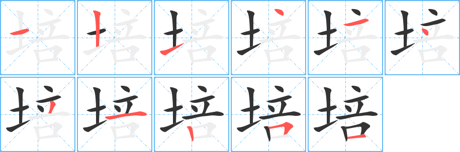 培字的筆順分步演示