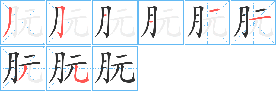 朊字的筆順分步演示