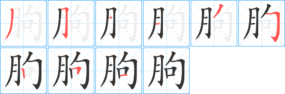 朐字的筆順分步演示