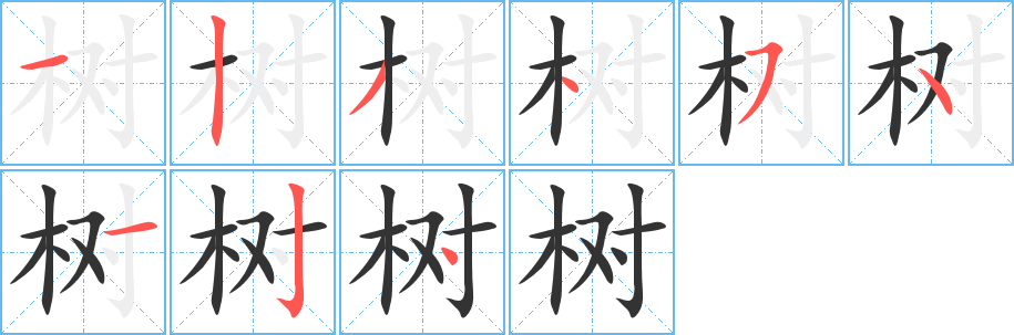 樹字的筆順分步演示