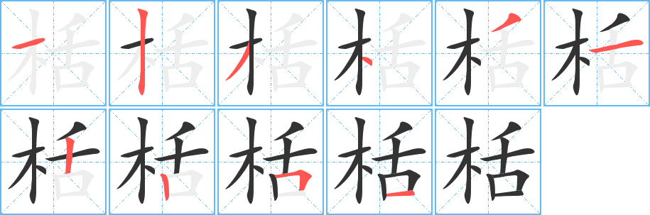 栝字的筆順分步演示