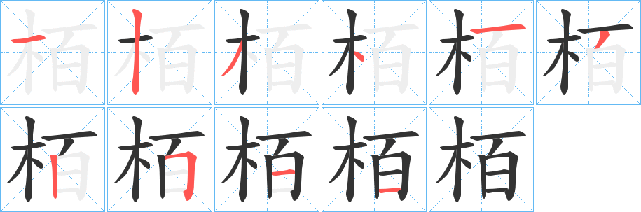 栢字的筆順分步演示