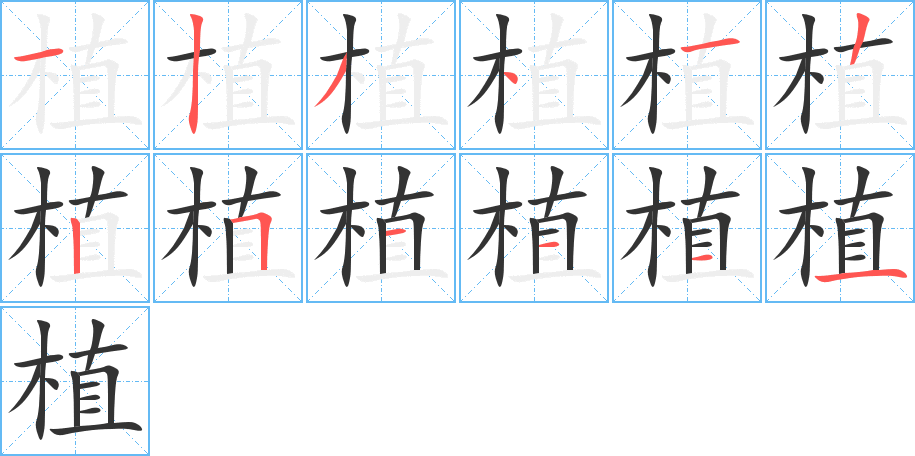 植字的筆順分步演示