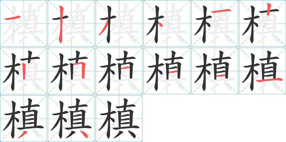 槙字的筆順分步演示