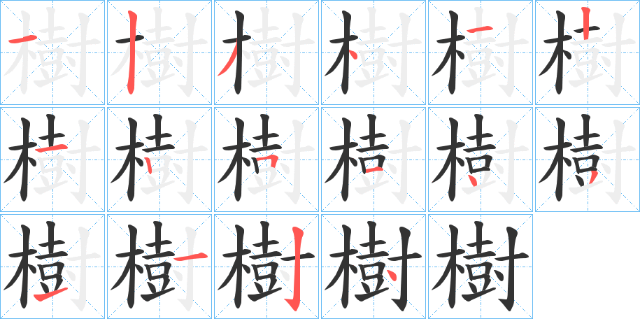 樹字的筆順分步演示