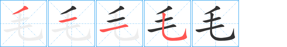 毛字的筆順分步演示