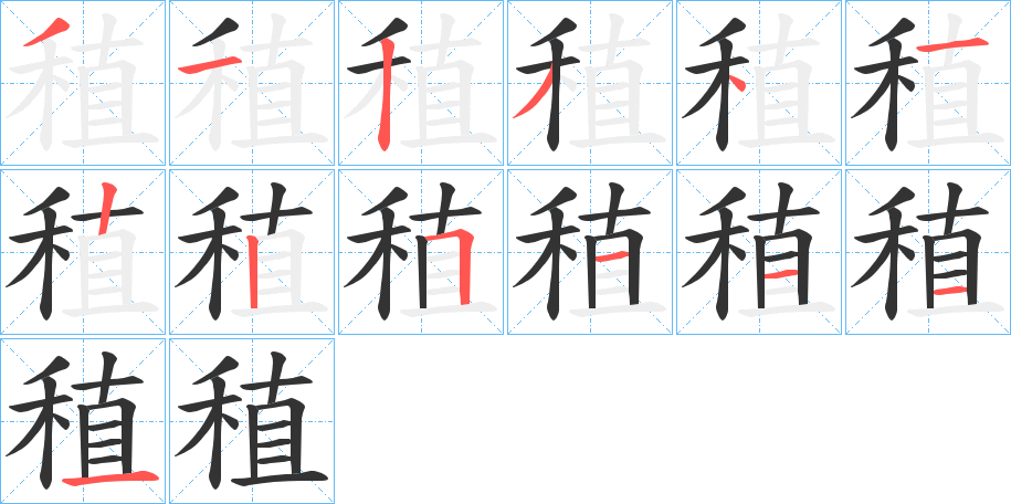 稙字的筆順分步演示