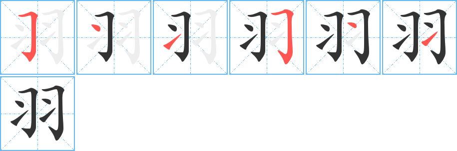 羽字的筆順分步演示