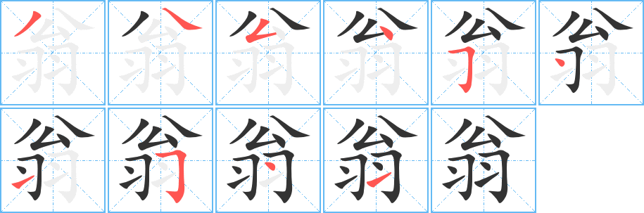 翁字的筆順分步演示