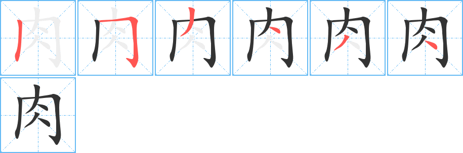 肉字的筆順分步演示