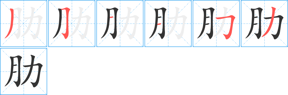 肋字的筆順分步演示