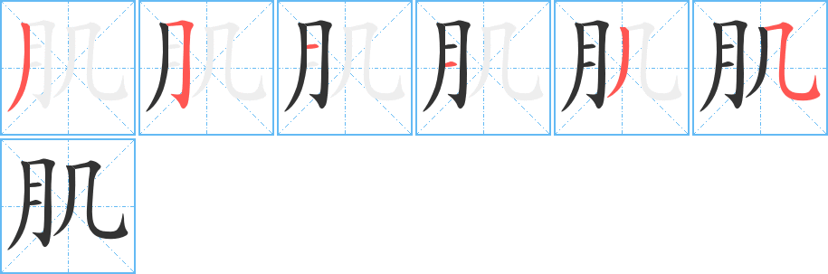 肌字的筆順分步演示