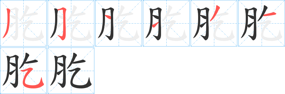 肐字的筆順分步演示