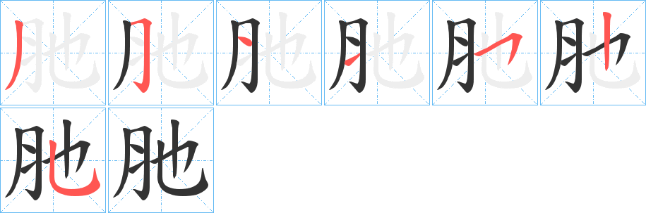 肔字的筆順分步演示