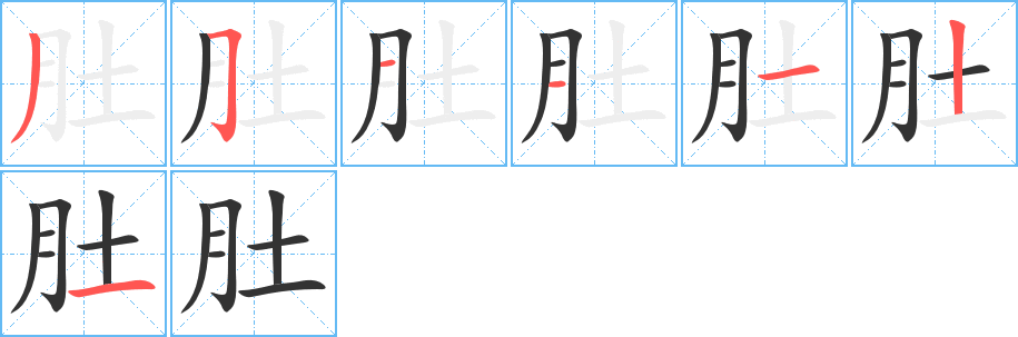 肚字的筆順分步演示