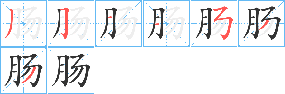 腸字的筆順?lè)植窖菔?></p>
<h2>腸的釋義：</h2>
腸<br />（腸）<br />cháng<br />人或動(dòng)物內(nèi)臟之一，呈長(zhǎng)管形，主管消化和吸收養(yǎng)分，分“大腸”、“小腸”等部：腸子。腸衣。肝腸寸斷。羊腸小道。腦滿腸肥。<br />筆畫數(shù)：7；<br />部首：月；<br />筆順編號(hào)：3511533<br />
<p>上一個(gè)：<a href='bs3472.html'>肚的筆順</a></p>
<p>下一個(gè)：<a href='bs3470.html'>曵的筆順</a></p>
<h3>相關(guān)筆畫筆順</h3>
<p class=