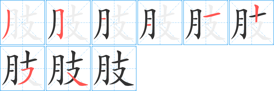 肢字的筆順分步演示