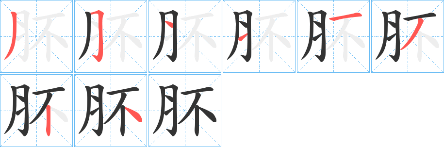 肧字的筆順分步演示