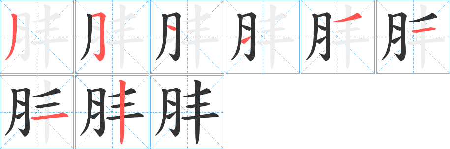 肨字的筆順分步演示