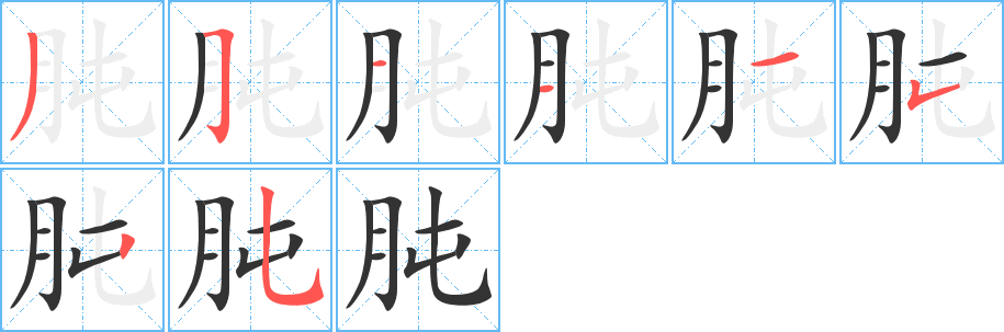 肫字的筆順分步演示