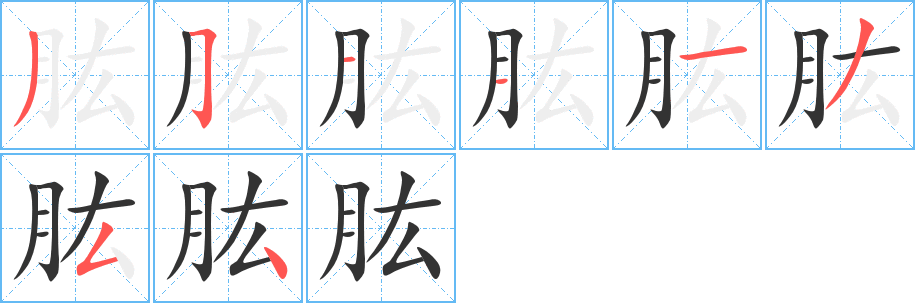 肱字的筆順分步演示