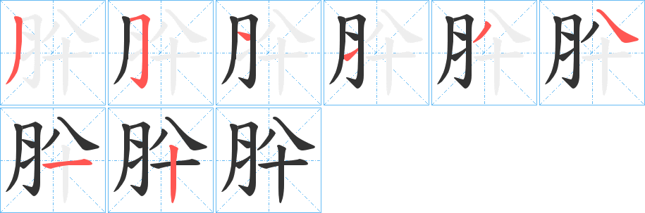 肸字的筆順分步演示