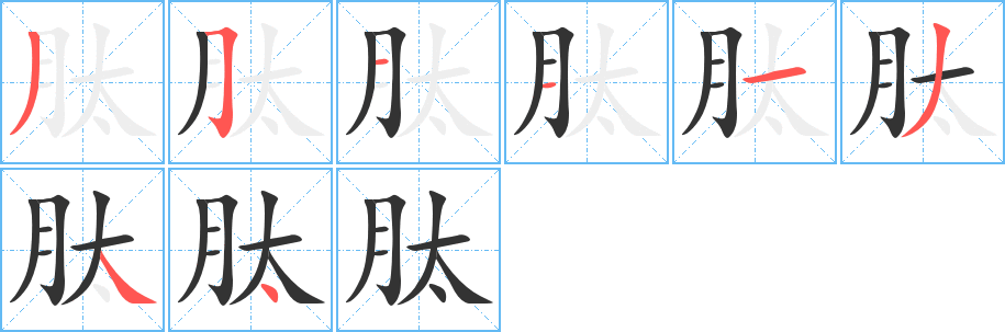 肽字的筆順分步演示