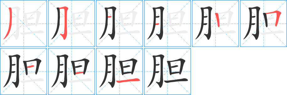 膽字的筆順分步演示