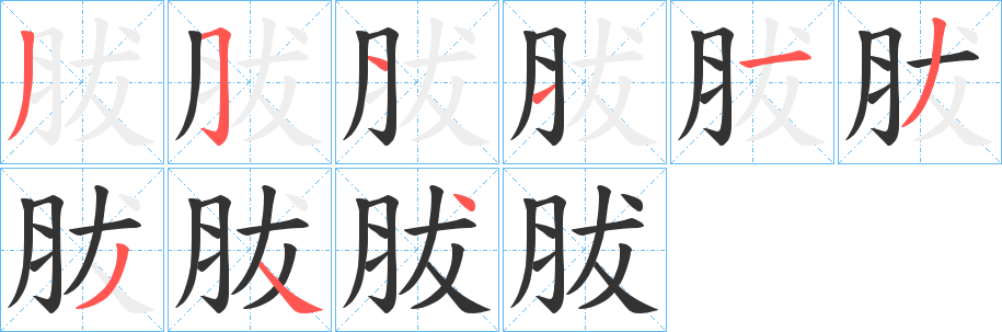 胈字的筆順分步演示