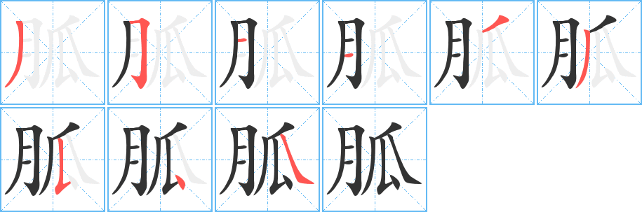 胍字的筆順分步演示