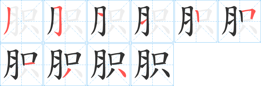 胑字的筆順分步演示