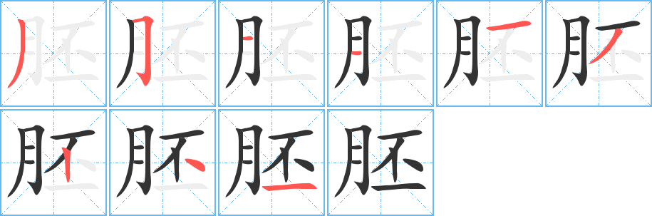 胚字的筆順分步演示