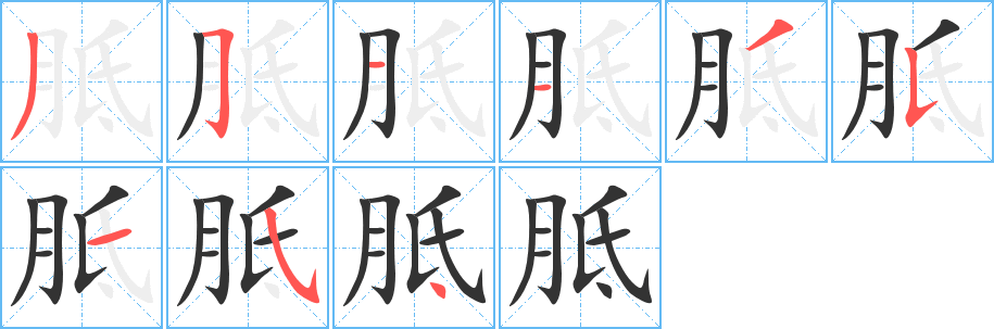 胝字的筆順分步演示