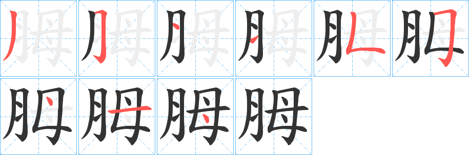 胟字的筆順?lè)植窖菔?></p>
<h2>胟的釋義：</h2>
胟<br />mǔ<br />古同“拇”。<br />筆畫(huà)數(shù)：9；<br />部首：月；<br />筆順編號(hào)：351155414<br />
<p>上一個(gè)：<a href='bs4786.html'>胒的筆順</a></p>
<p>下一個(gè)：<a href='bs4784.html'>朎的筆順</a></p>
<h3>相關(guān)筆畫(huà)筆順</h3>
<p class=