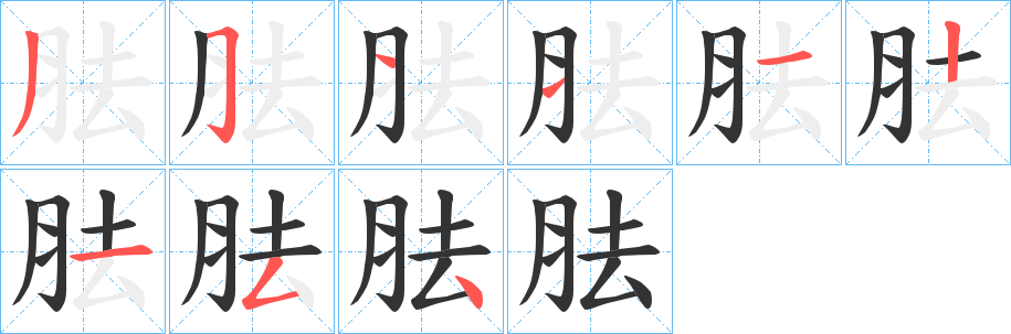 胠字的筆順?lè)植窖菔?></p>
<h2>胠的釋義：</h2>
胠<br />qū<br />腋下：“轉(zhuǎn)則兩胠下滿。”<br />古代軍陣的右翼：“胠，商子車御侯朝，桓跳為右。”<br />從旁邊打開(kāi)：“將為胠篋探囊發(fā)匱之盜而為守備。”<br />擱淺：“（一種魚(yú)）胠于沙而思水，則無(wú)逮矣。”<br />筆畫數(shù)：9；<br />部首：月；<br />筆順編號(hào)：351112154<br />
<p>上一個(gè)：<a href='bs4765.html'>胂的筆順</a></p>
<p>下一個(gè)：<a href='bs4763.html'>胚的筆順</a></p>
<h3>相關(guān)筆畫筆順</h3>
<p class=