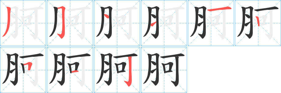 胢字的筆順分步演示