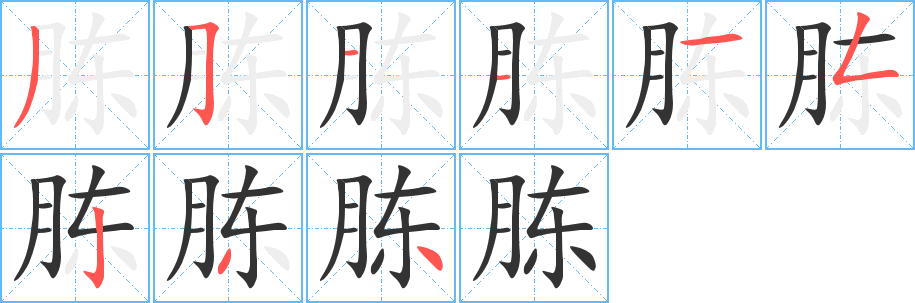 胨字的筆順分步演示