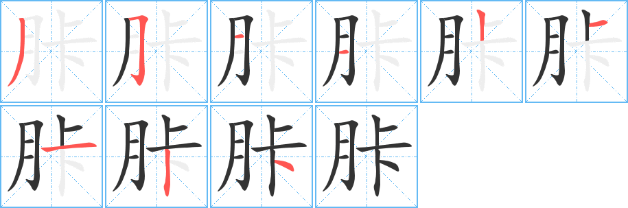 胩字的筆順分步演示