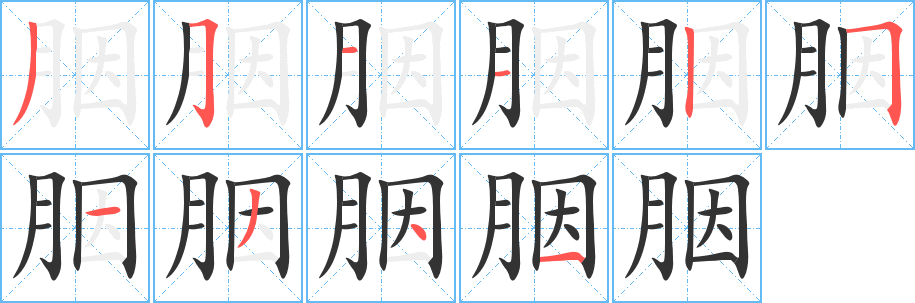 胭字的筆順?lè)植窖菔?></p>
<h2>胭的釋義：</h2>
胭<br />yān<br />〔胭脂〕一種紅色顏料，可作化妝用品，亦是國(guó)畫(huà)色。簡(jiǎn)稱“胭”，如“胭粉”、“胭紅”（“<br />脂”讀輕聲）。<br />筆畫(huà)數(shù)：10；<br />部首：月；<br />筆順編號(hào)：3511251341<br />
<p>上一個(gè)：<a href='bs8125.html'>臟的筆順</a></p>
<p>下一個(gè)：<a href='bs8123.html'>胰的筆順</a></p>
<h3>相關(guān)筆畫(huà)筆順</h3>
<p class=