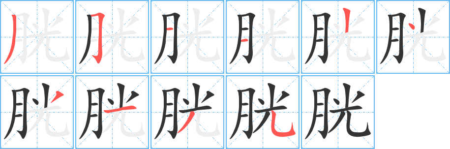 胱字的筆順分步演示