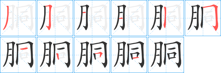 胴字的筆順分步演示