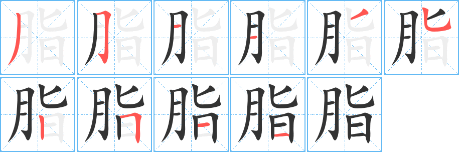 脂字的筆順分步演示