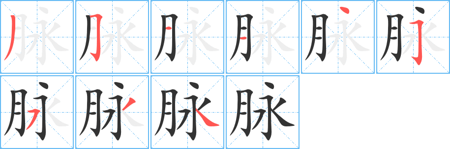 脈字的筆順分步演示