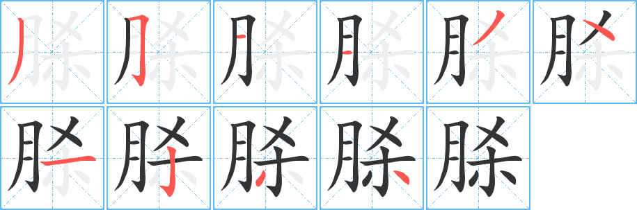 脎字的筆順分步演示