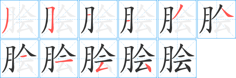 膾字的筆順分步演示