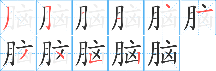 腦字的筆順分步演示