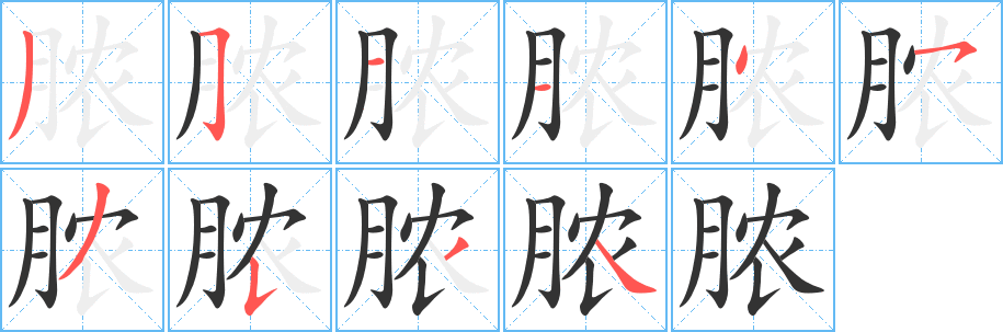 膿字的筆順分步演示