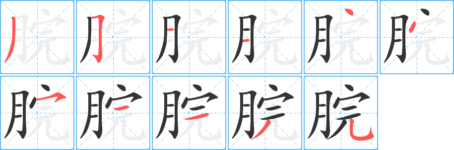 脘字的筆順分步演示