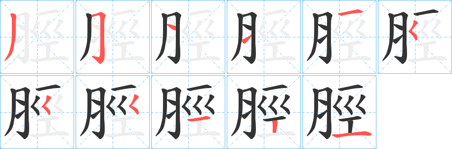 脛字的筆順分步演示